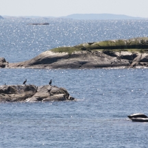 Kosterhavets Nationalpark Strömstad/Tanum