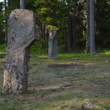 Gravfeltet ved Gunnarstorp