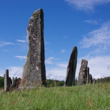 Blomsholm skeppssättning